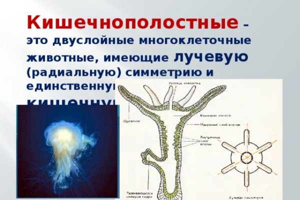 Кракен 15 ссылка
