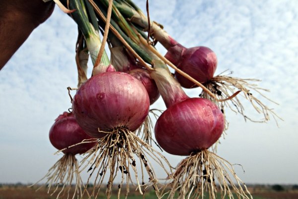 Сайт krn