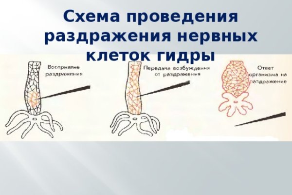 Кракен даркнет купить