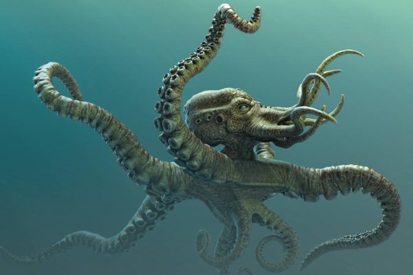Kraken рынок