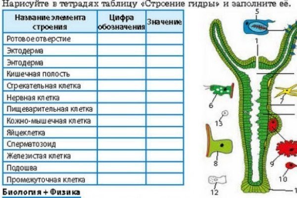 Кракен kr2web in маркетплейс